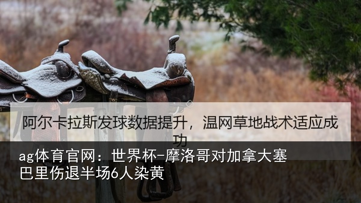 ag体育官网：世界杯-摩洛哥对加拿大塞相关情况黄