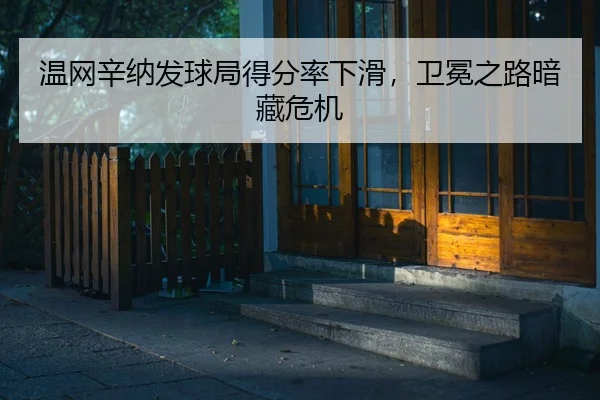 wen-wang-xin-na-fa-qiu-ju-de-fen-lv-xia-hua-wei-mian-zhi-lu-an-cang-wei-ji-2-329.jpg