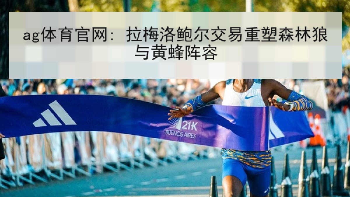 ag体育官网: 拉梅洛鲍尔交易重塑森林狼与黄蜂阵容