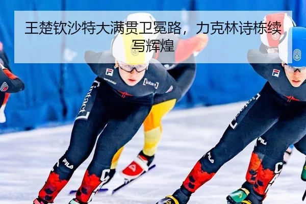 wang-chu-qin-sha-te-da-man-guan-wei-mian-lu-li-ke-lin-shi-dong-xu-xie-hui-huang-2-318.jpg
