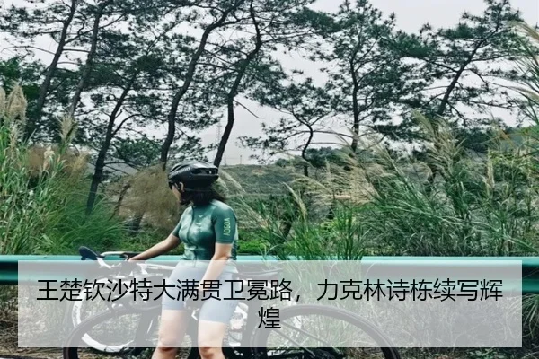 wang-chu-qin-sha-te-da-man-guan-wei-mian-lu-li-ke-lin-shi-dong-xu-xie-hui-huang-3-510.jpg